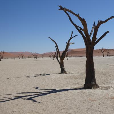 Desertification, Namibia
